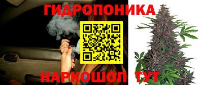spice Гатчина