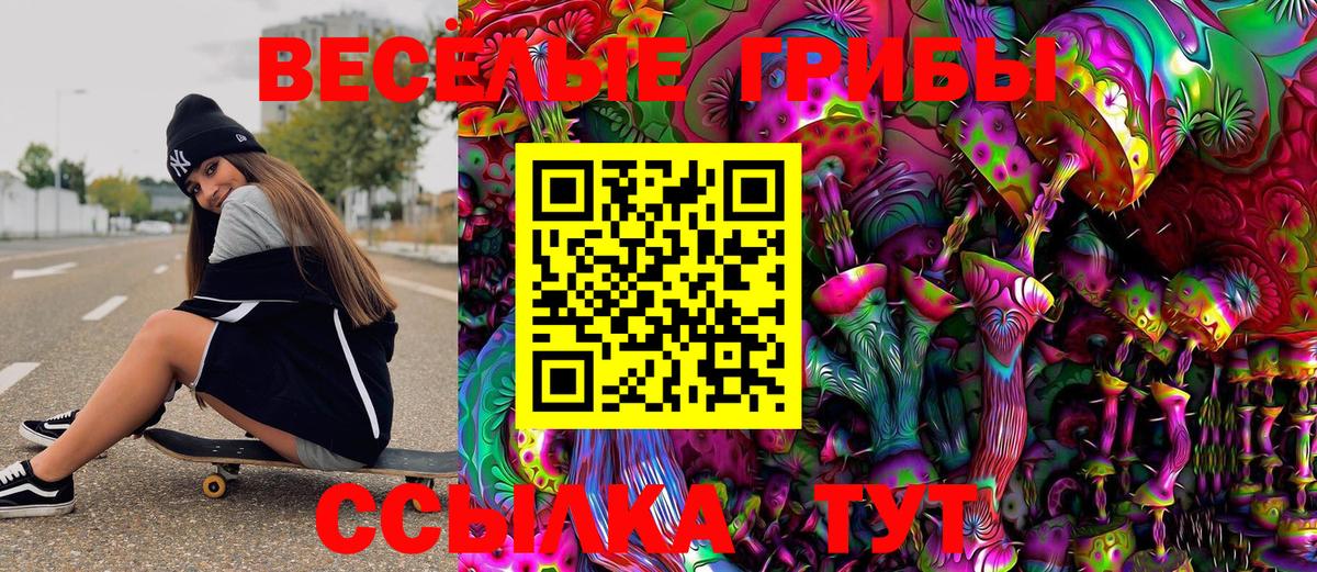 Псилоцибиновые грибы Psilocybe Кинешма