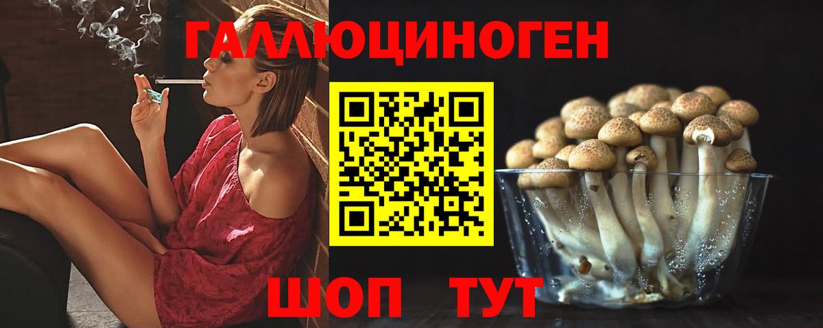 Псилоцибиновые грибы Psilocybe  Вход с VPN  Кинешма 